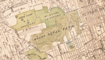 what is a cadastral map